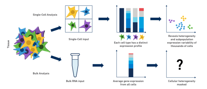 singlecell